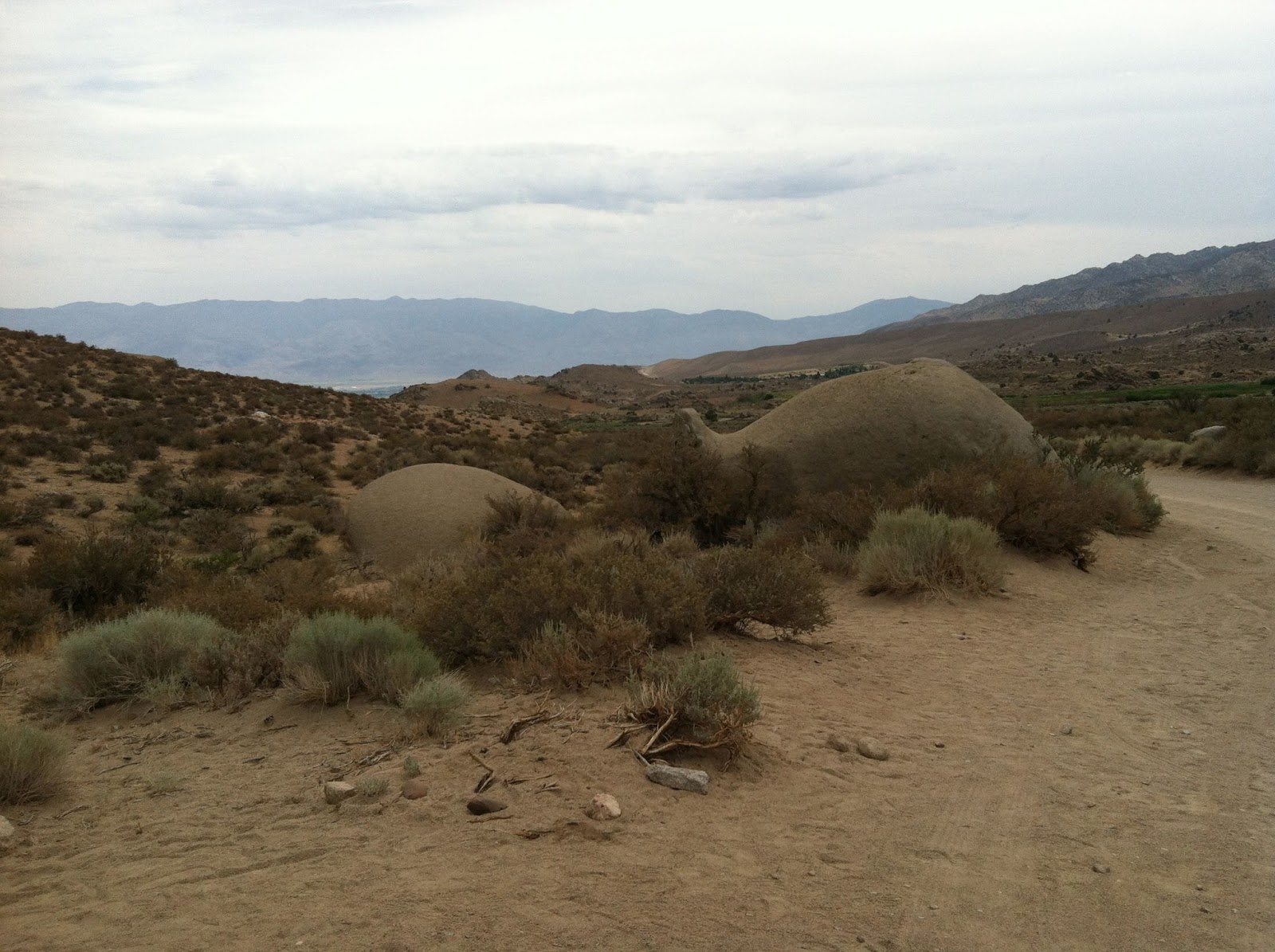 Giant dinosaur rock